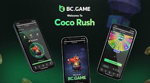Understanding BC.Game Privacy Policy for African Users 1688752425